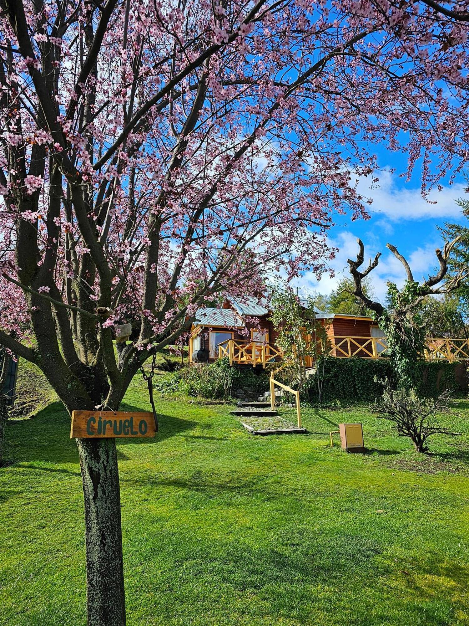 La Yaya - Villa Turismo เอลโบลซอน ภายนอก รูปภาพ
